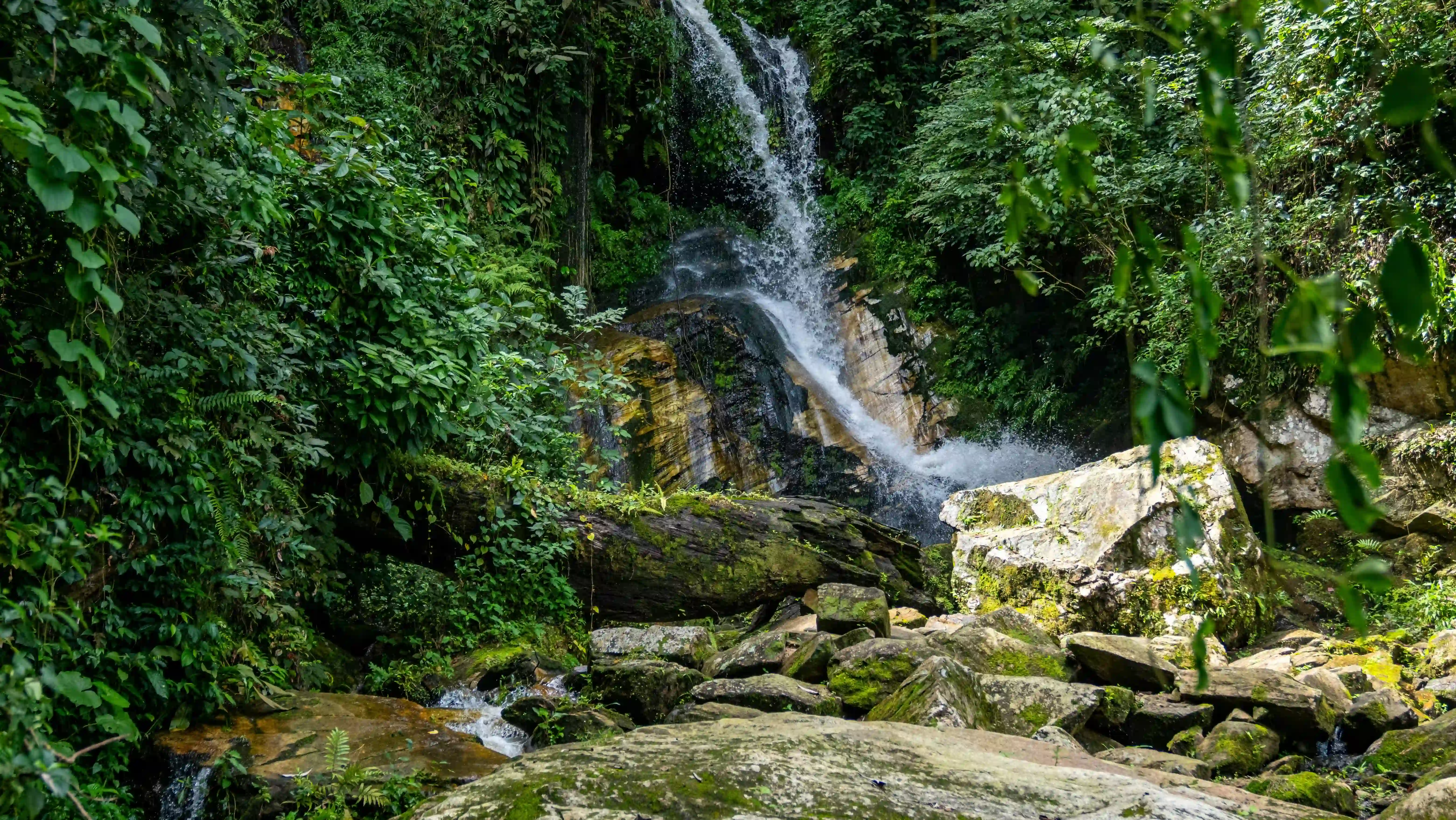 DFT Travels Tours premium luxury travel experiences Nigeria